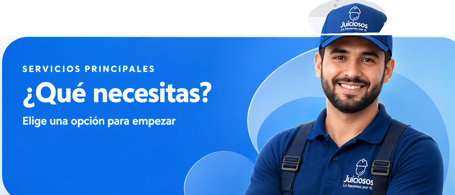 Profesional de servicios Juiciosos